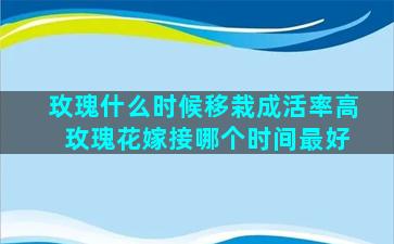 玫瑰什么时候移栽成活率高 玫瑰花嫁接哪个时间最好